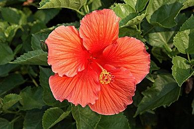 《尘封大陆》将于2023年春季发售 战斗非常亮眼